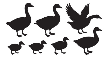 Fototapeta premium Silhouette of a Goose Family in Various Poses Displaying a Mother Goose and Her Goslings in a Grouping