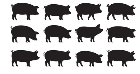 Obraz premium Elegant Pig Silhouette Collection A Variety of Pig Breeds Depicted in Stunning Black Silhouettes Against a White Backdrop