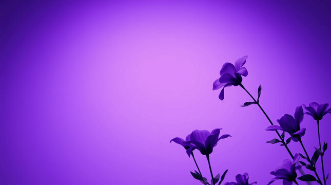 Delicate purple flowers on a soft, vibrant purple background, creating a serene atmosphere.