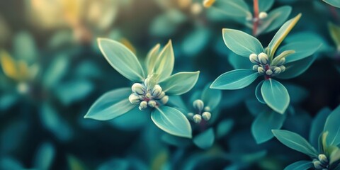 Botanical Teal: A close-up showcases captivating, teal-toned foliage, inviting exploration of the intricate details of the botanical world, bathed in gentle light.
