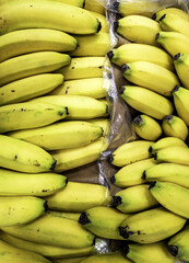 Bananas in the market