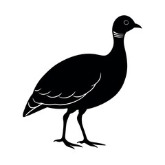 Andean Tinamou Bird Silhouette