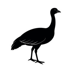 Dusky Legged Guan Bird Graphic