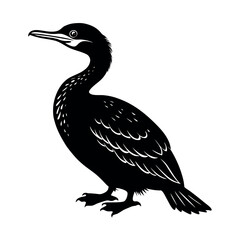 Great Cormorant Bird Vector Art
