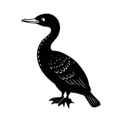 Little Cormorant Bird Design