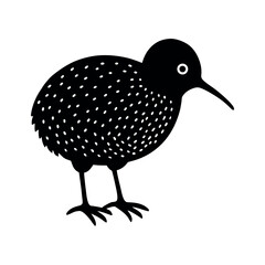 Little Spotted Kiwi Bird Vector