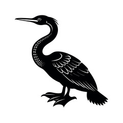 Oriental Darter Bird Illustration