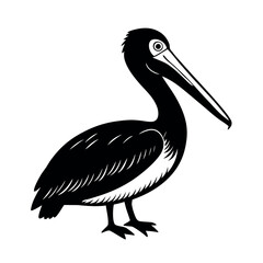 Spot Billed Pelican Bird Vector