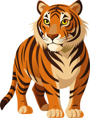 tiger vector illustration