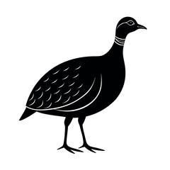 White Throated Tinamou Bird Design