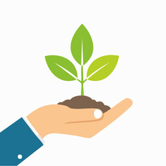 Protecting Our Planet A Hand Holding a Growing Plant