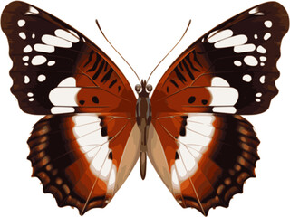 Butterfly vector illustration