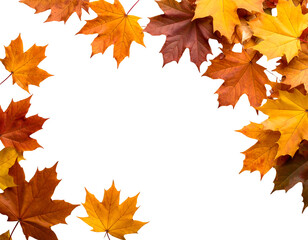 A stunning collection of colorful maple leaves forms a vibrant natural frame, celebrating the essence of autumn.