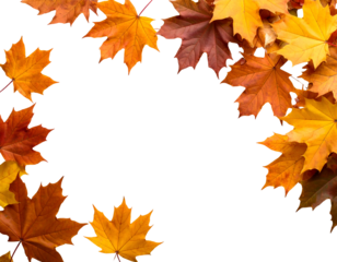 A stunning collection of colorful maple leaves forms a vibrant natural frame, celebrating the essence of autumn.