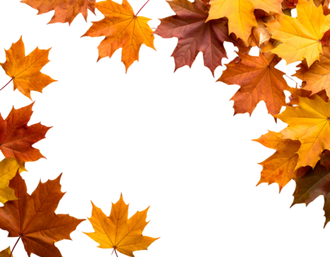 A stunning collection of colorful maple leaves forms a vibrant natural frame, celebrating the essence of autumn.