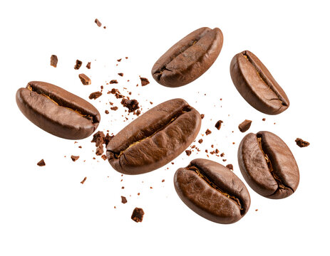 Aromatic roasted coffee beans and fine fragments artfully suspended, ready for brewing.