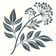 Detailed botanical branch illustration