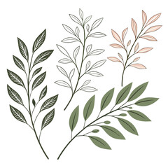 Fototapeta premium Elegant decorative plant branches