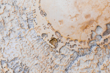 Abstract textures reveal nature’s artistry in subtle colors and patterns
