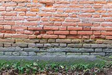 Weathered brick wall adorned with vibrant moss and earthy tones at dawn