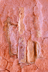 Ancient stone patterns reveal history in vibrant desert landscape