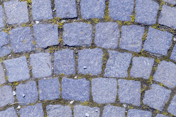 Textures of a cobblestone path adorned with moss in a serene garden
