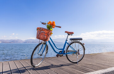bicycle and flowers on the beach