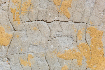 Textured wall revealing nature's artistry in muted hues and golden accents