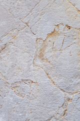 Natural stone shows intricate patterns and textures in sunlight