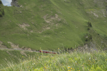 Riga, Latvia 05-09-2024 A solitary train carves its way through the verdant embrace of a...