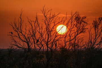 Puesta de sol en Dpñana