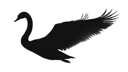 Elegant Silhouette of a Swan in Flight Against a Black Backdrop, Featuring Graceful Lines and Detailed Wing Structure for a Striking Visual isolated on transparent background