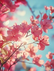 lowangle cinematic shot of an orchid tree in full bloom Bauhinia