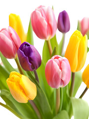 Obraz premium Vibrant Bouquet of Pink Purple Yellow Tulips Closeup Spring Flowers Floral Arrangement Colorful Blossoms