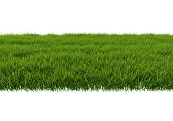 A vibrant green grass lawn, perfectly manicured and isolated on transparent background