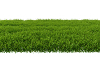 A vibrant green grass lawn, perfectly manicured and isolated on transparent background
