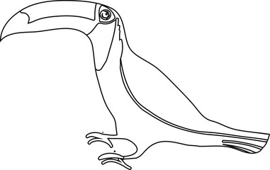 Unique bird drawing with fun personality, perfect for alphabet books, educational worksheets, and nature designs.