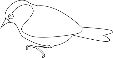 Happy cartoon bird drawn in clean lines, perfect for playful coloring sheets and children's learning games.