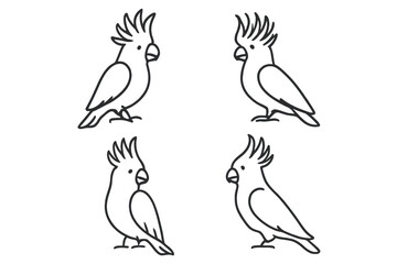 Variety of cockatoo sketches showcasing different poses and angles in a simple, minimalist style