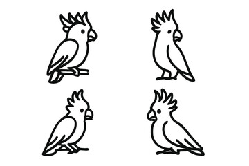 Stylized illustrations of cockatoos in various positions, showcasing their unique features and playful demeanor