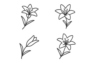 Elegant hand-drawn floral designs featuring lilies in various styles and arrangements for creative projects