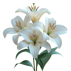 Decorative white lily PNG with yellow stamens on transparent background