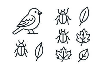 Bird and insects surrounded by leaves in a simple line art design illustrating nature's elements