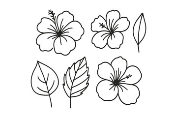 Beautiful hand-drawn hibiscus flowers and leaves in a simple, black outline style for artistic designs and crafts