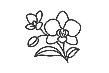 Elegant orchid flower design showcasing delicate petals and natural beauty