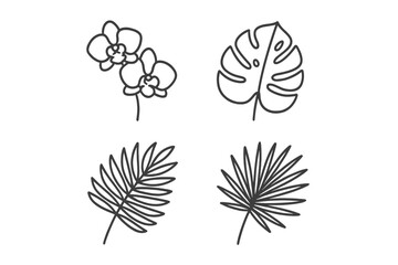 Botanical illustrations featuring tropical plants and flowers in a minimalist style for decorative purposes
