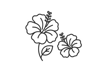 Two hibiscus flowers with simple outlines on a white background showcasing nature's beauty in a minimalist style