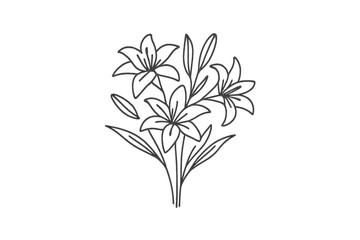 Beautiful bouquet of hand-drawn lilies showcasing nature's elegance and simplicity in a minimalist design style