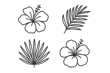 Floral illustrations featuring hibiscus flowers and palm leaves suitable for tropical design projects © PAPA STOCK