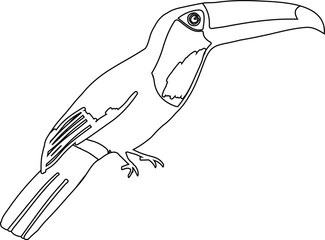  A detailed line art illustration of a bird, perfect for coloring books, nature-themed designs, and educational printables. Vector EPS format with clean outlines for easy editing and printing.